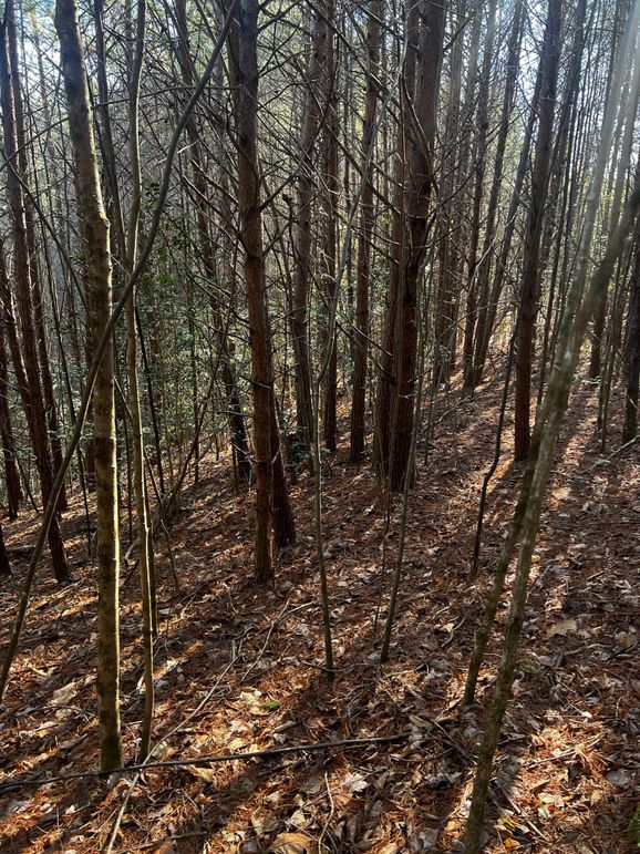 2924E4C4-C95A-4030-AE92-86BFEF6063AC