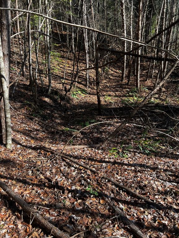 C3D69CE7-D92B-492F-B26E-FA683BD0E0E8