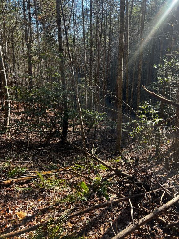 6EEE9802-FFF8-48BE-B58B-43F3D9633E74