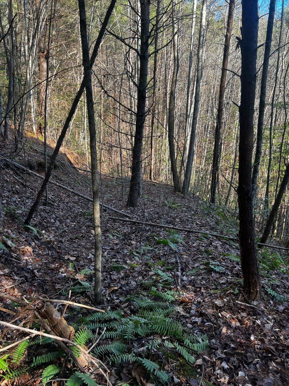 8CECF289-0904-45BA-AB66-D498AFC9EAB0