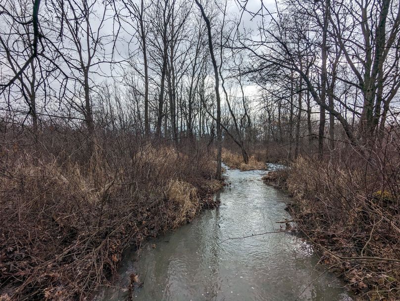 PXL_20221216_185053107