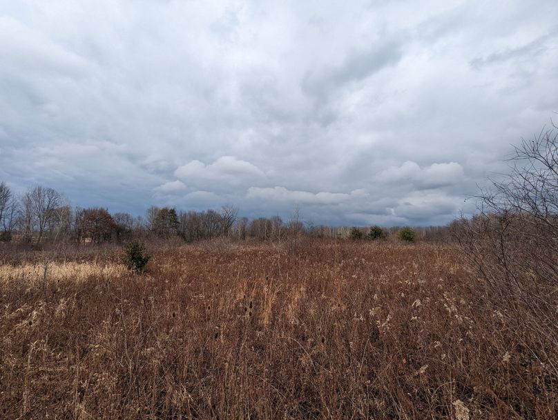 PXL_20221216_183719084