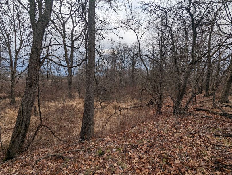 PXL_20221216_184445430