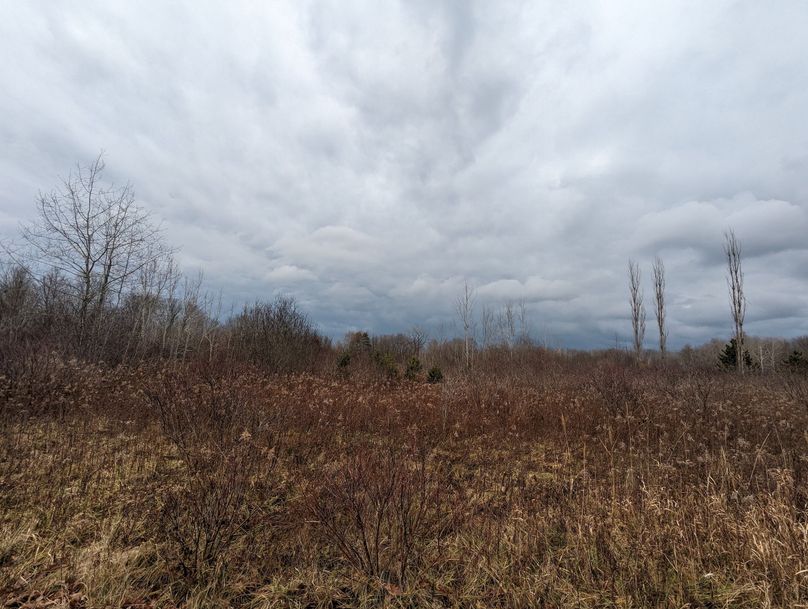 PXL_20221216_183515241