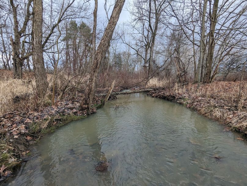 PXL_20221216_184725966