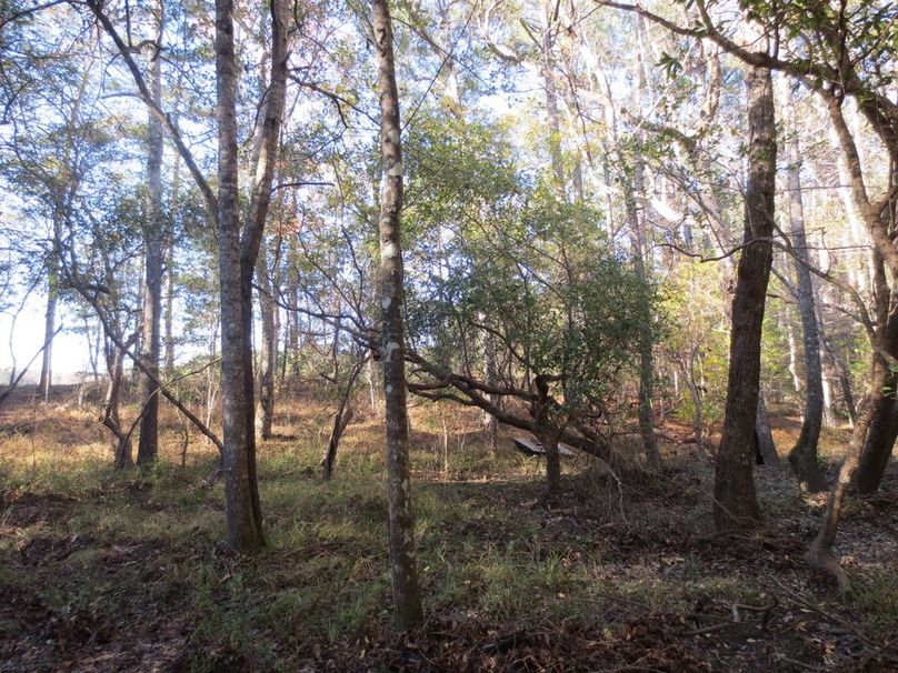 3C92D4E5-21FE-4DF6-92EF-BA8EA9245B33_1_105_c