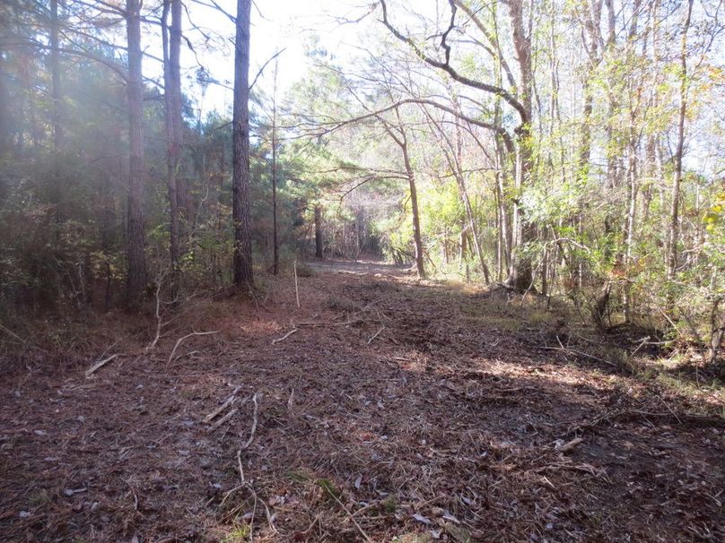 8801292A-D4F2-4D06-B609-1D9264BDF4E1_1_105_c