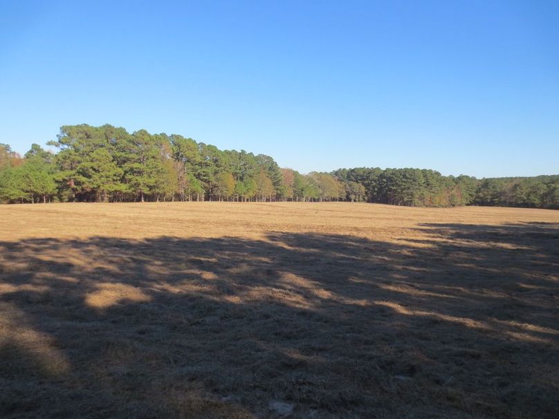 38BFBD7C-3FD0-4CD6-901D-8918541A2921_1_105_c