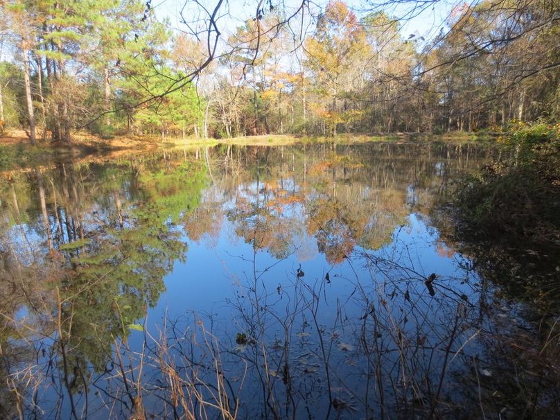 08322145-64BB-45CA-9AB1-1517832D567E_1_105_c