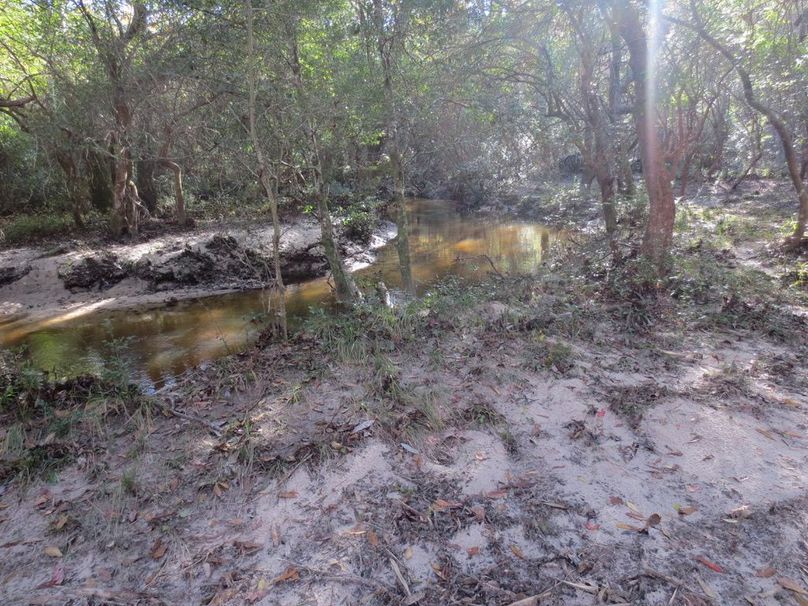 D9730AF3-3048-4C00-90CC-5A2857B2F4CE_1_105_c