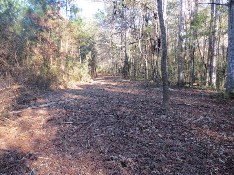 F3C1B9FE-538E-4AD7-A432-62FFBCC809F1_1_105_c