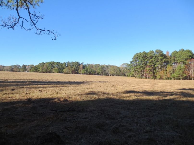 90EA29D7-1BCA-4F4C-A9BE-0297B2575D15_1_105_c