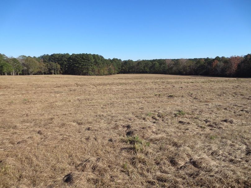 261B291D-91F8-4496-B36C-49DB337D5298_1_105_c