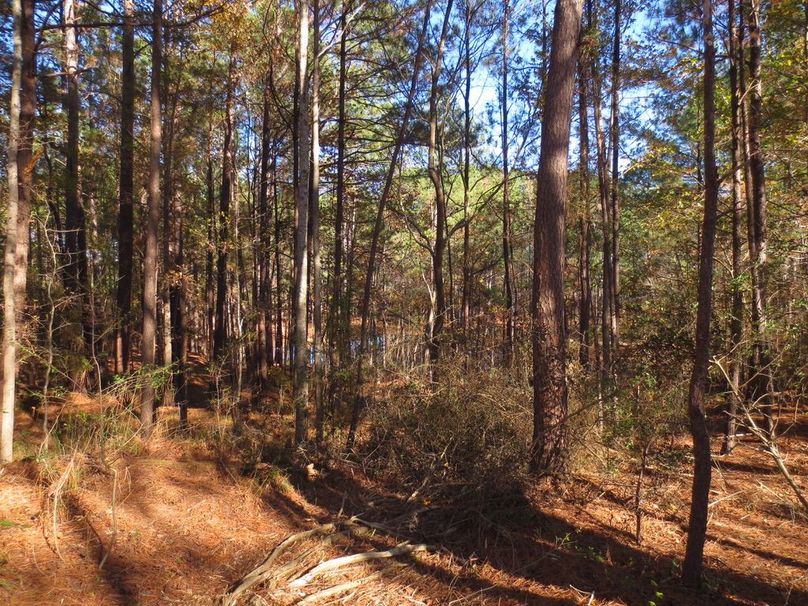 DF79430B-BDF9-429B-9CB1-F54987E4CBDF_1_105_c