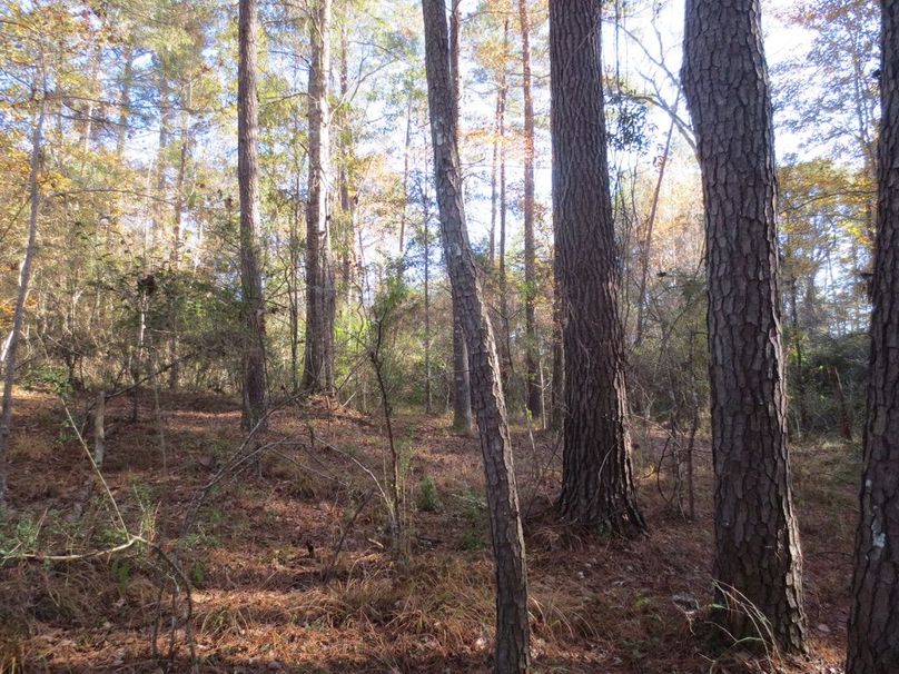 7E931729-05A7-4EE9-BEA2-B7116450D9D7_1_105_c