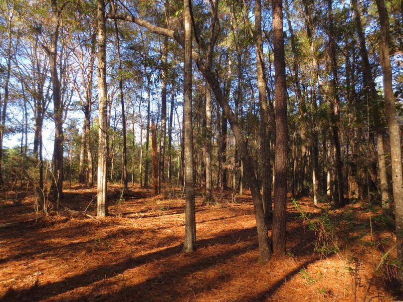 D2FA274A-9949-4688-AA54-3F7F151AE363_1_105_c