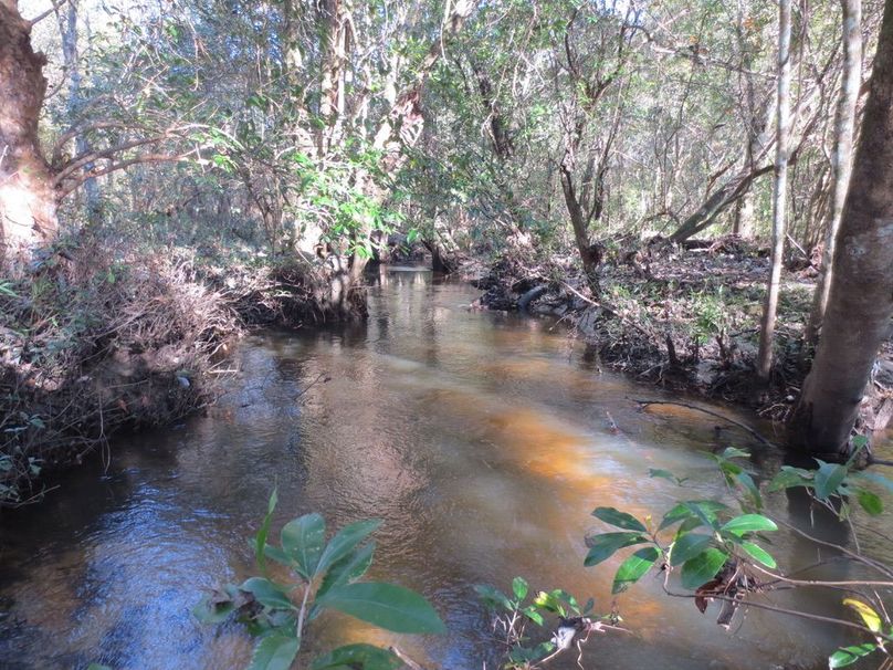 BAF87D47-B52F-4EC4-A49D-9ECE8F3409F2_1_105_c