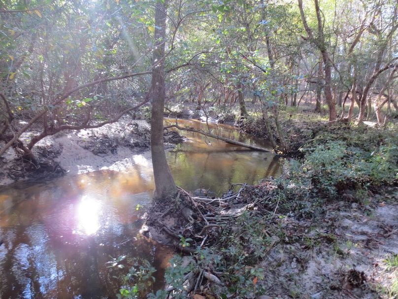 B888F838-8621-4BA3-BD82-6EE17665692E_1_105_c