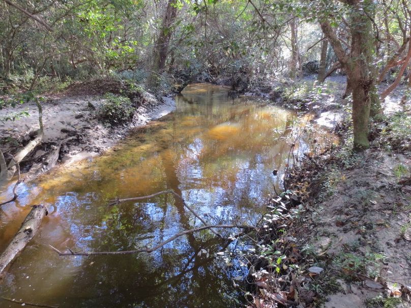 C538F09A-441F-4290-99CD-2528D7A3B16F_1_105_c