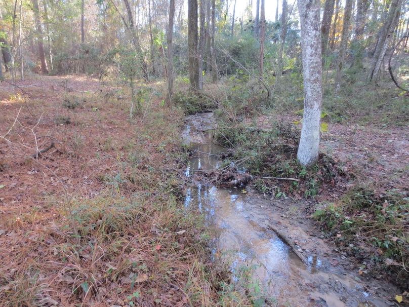 574367BE-14FC-42CA-BB22-6EDE1A56FA98_1_105_c