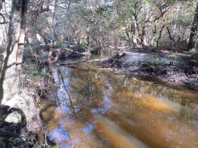 EEA049B7-C619-4268-AD97-05329EB9B3E2_1_105_c