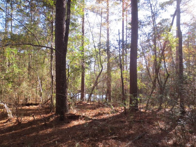 4A633D9F-9F42-4B8F-8590-8BE084011500_1_105_c