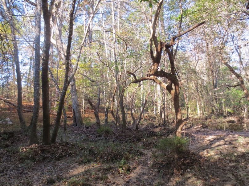 212B76AC-0EF2-43D3-827A-DA5A007E7324_1_105_c