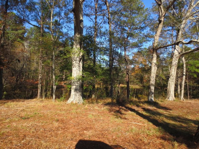 59DEE0FA-F811-4475-A4E7-83B2D47E00C3_1_105_c