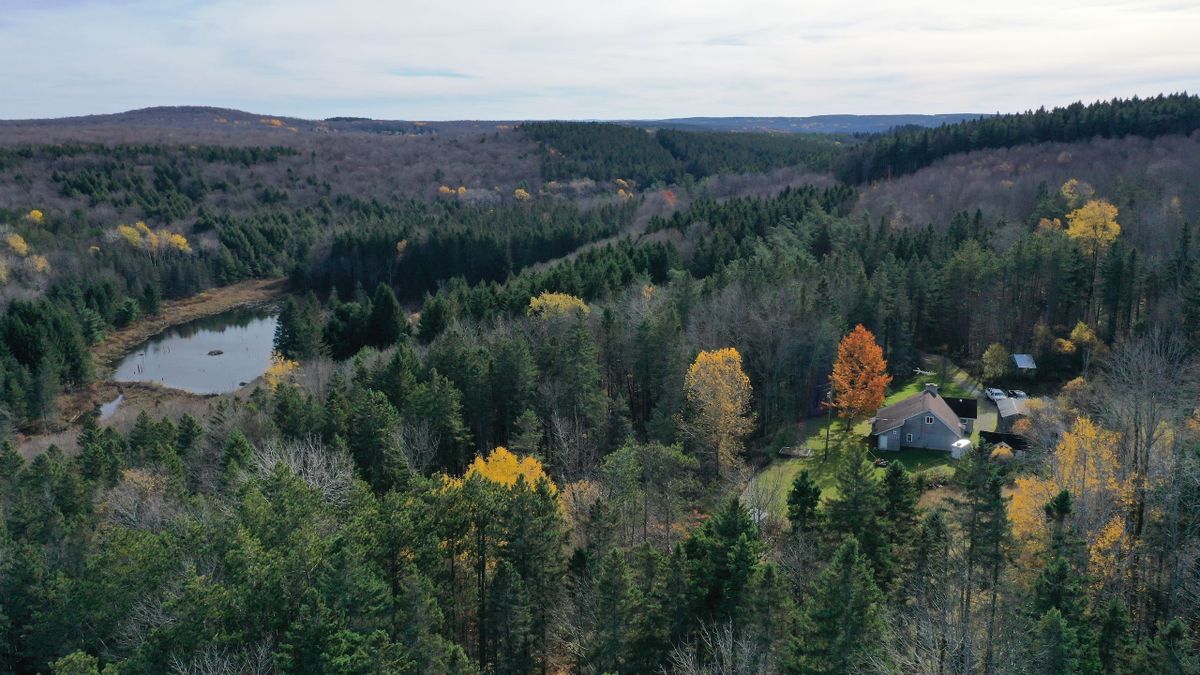Year Round House Nestled In Woods Borders NYS Land Whitetail Properties