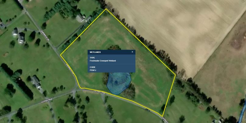 Wetland Aerial Shen 8.97