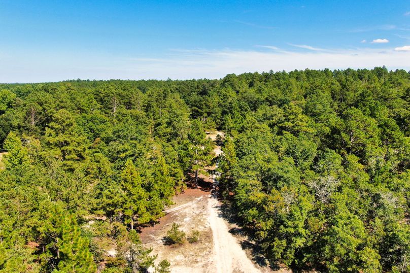 19 Drone View of Trails