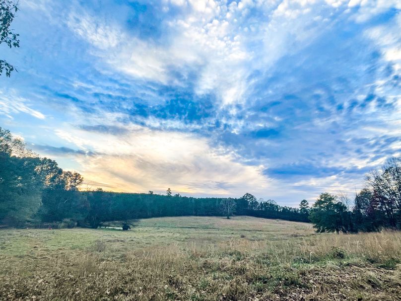 BAB4AECB-6F2F-4192-8853-09958A1A3802