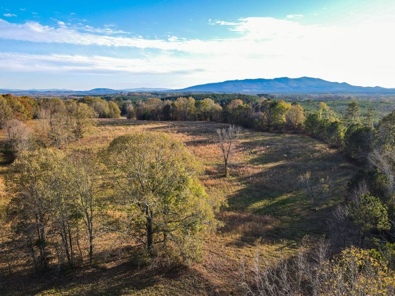 1F35C1F5-AF44-4740-9CEC-D361C6775838