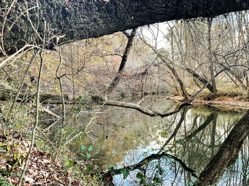 14905AF3-0E55-4B34-82B0-5839349C5D67