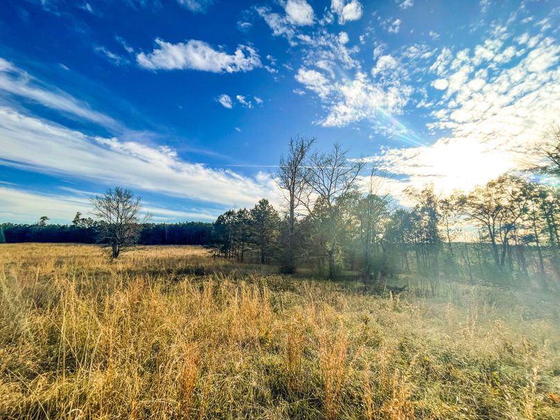 7A5068CE-991E-43E7-8044-8BB102D1C1C0