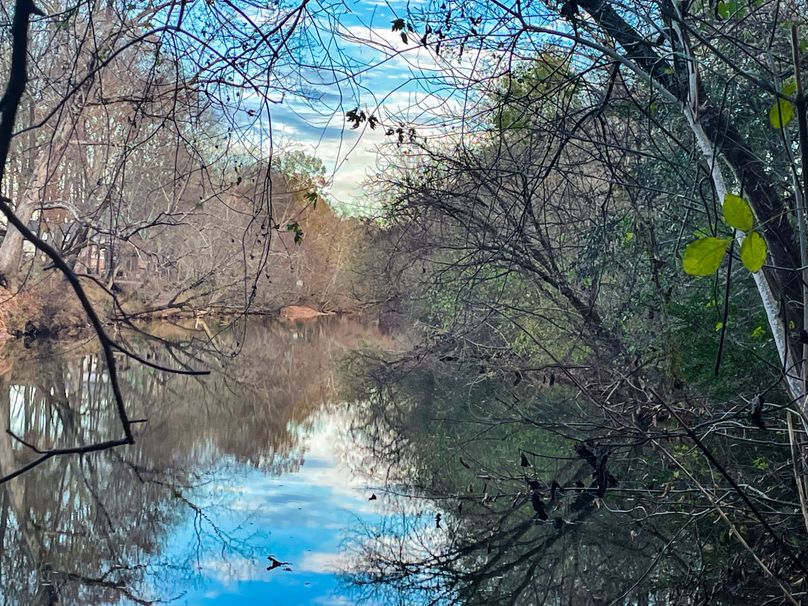 9923E1CC-5650-4C34-9182-934A2CD70A74