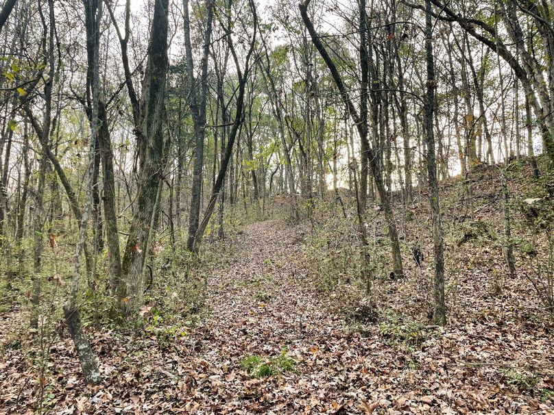 1D55BACA-3523-419C-AB38-E35CF4C84AFC