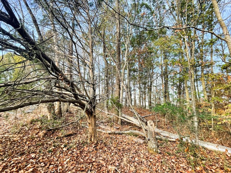 3948FCE6-9418-4E53-B19C-F8FDD0BB1F43