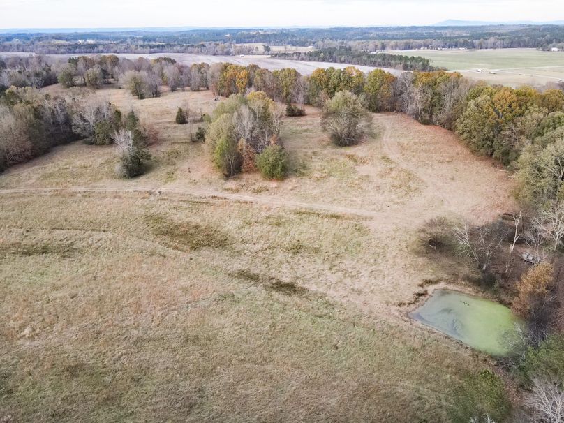 BADF7C00-A10B-43E7-87B8-17CED57B86A4