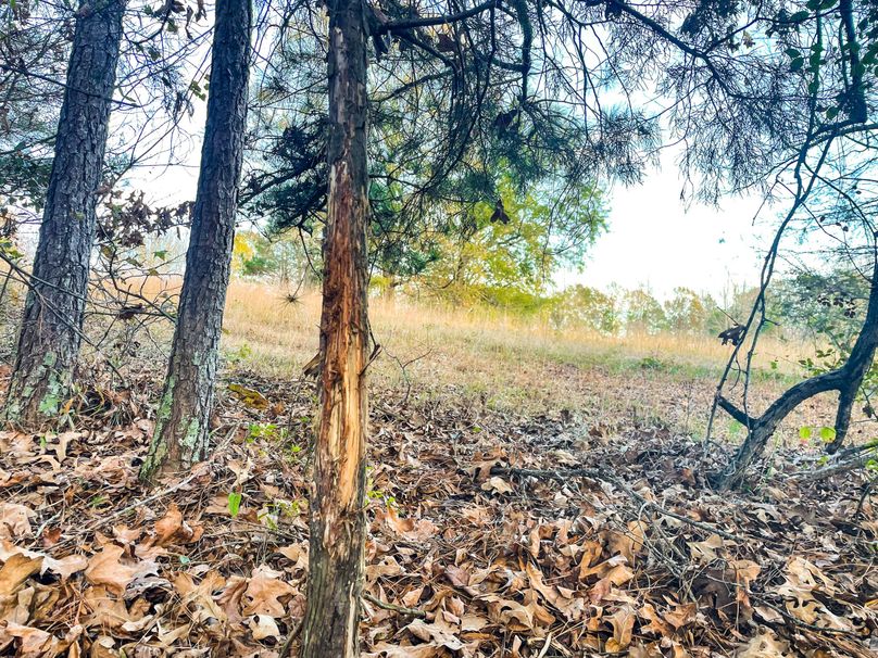 7530DBB5-9033-4302-A5A8-544AB80356A6