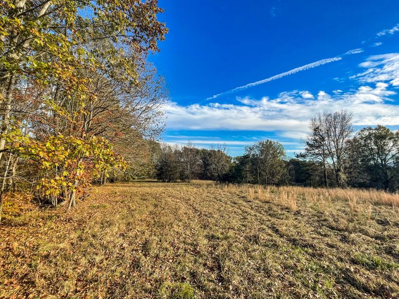 FBB47A82-049B-483C-8F3D-BA128BA5ABAC