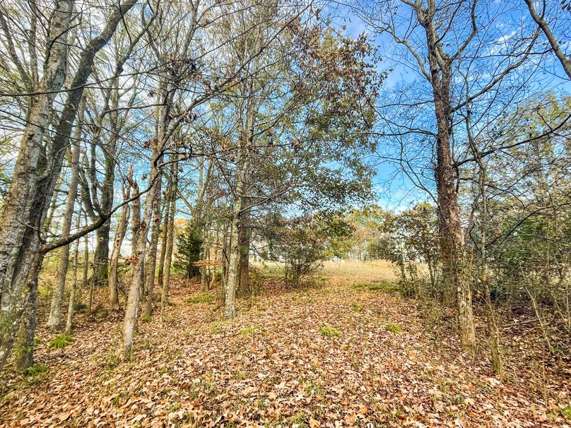 1DC5C0F2-E03E-4391-A8EB-6CA558E8603C