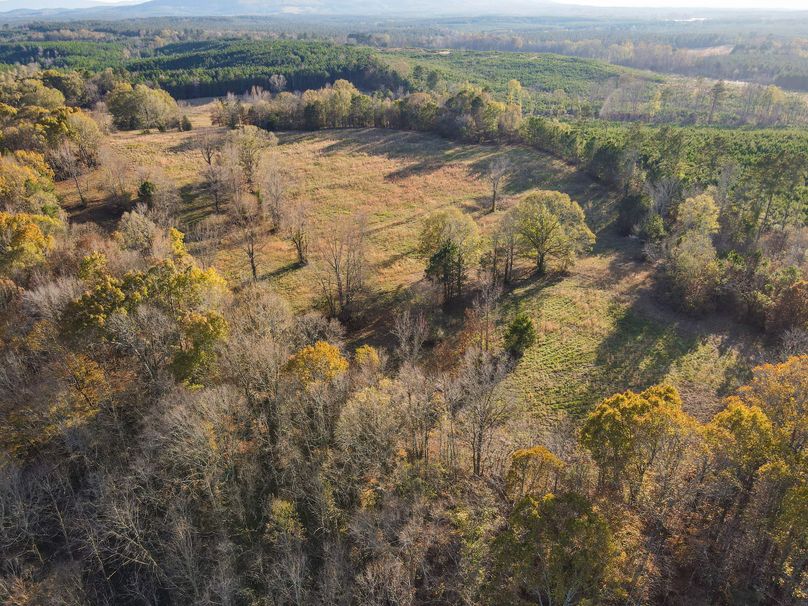 0FDBDE59-3AB2-4803-A02E-8FD5B2B2841A