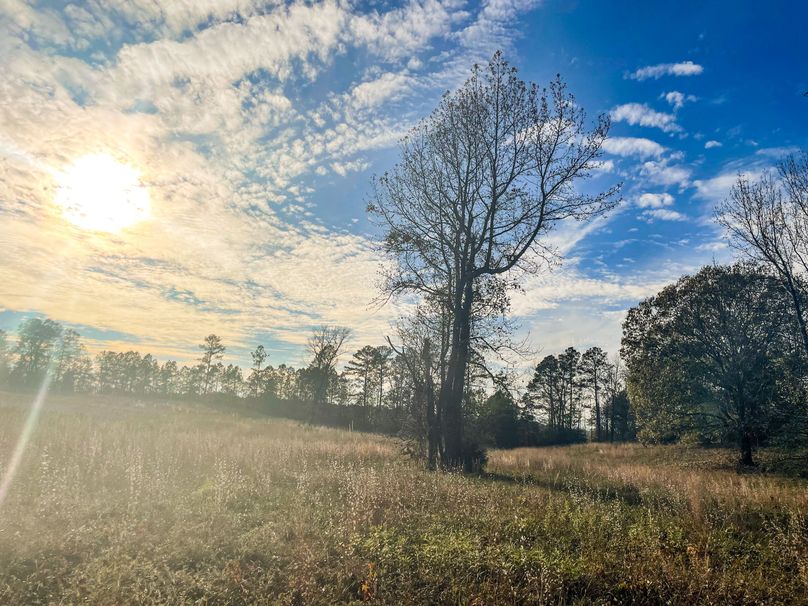 5B12D509-FD44-4C45-B82F-A6916F1CC532