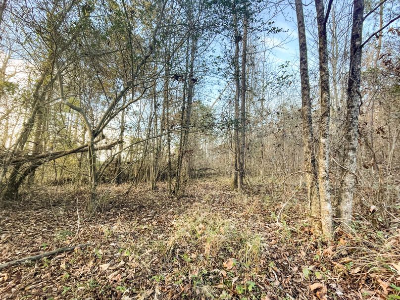 A62B28BB-F2CD-4C05-8BEC-11A9672D6D7D