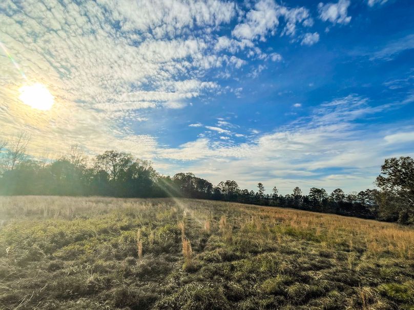 8FDCAFD9-32BB-4780-967A-BD3E46F3D525