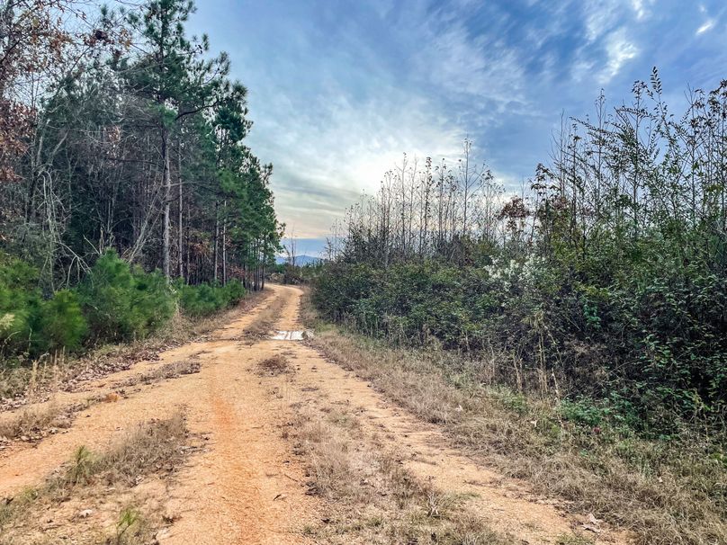 D72BA6B4-1D34-4E4C-A16F-843DEF0A5031