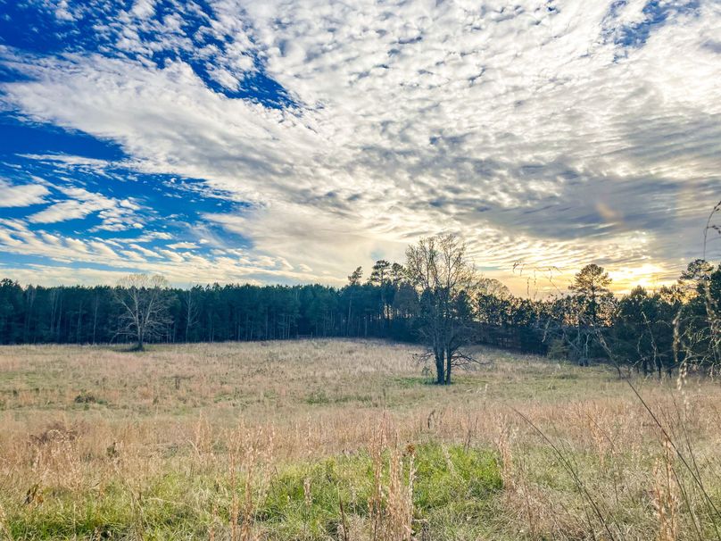 166FF5CB-D95B-49F9-BF4F-E83CDD7E31B1(1)