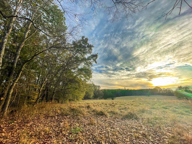 0AF3930E-1C41-4154-A84A-2C39EB5A593E