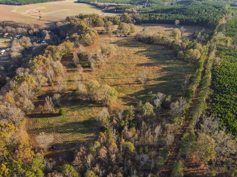 C5AEDCE3-EDE8-4DBA-9606-69AB14B260C5